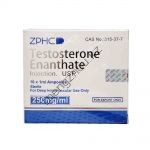Тестостерон энантат ZPHC 10 ампул по 1мл (1 мл 250 мг)